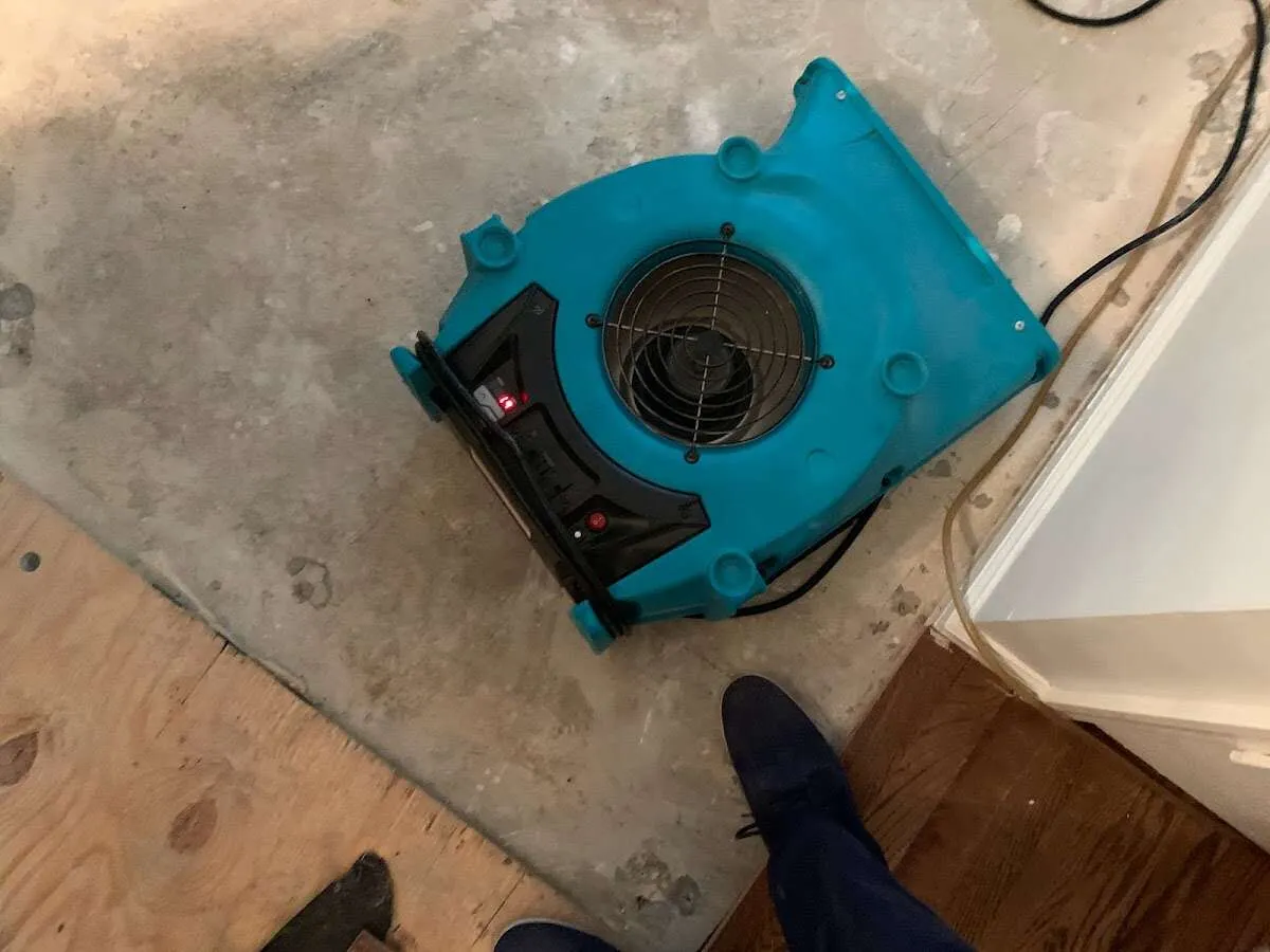 Air mover drying subfloor during Commercial Water Damage Restoration in Kirkwood